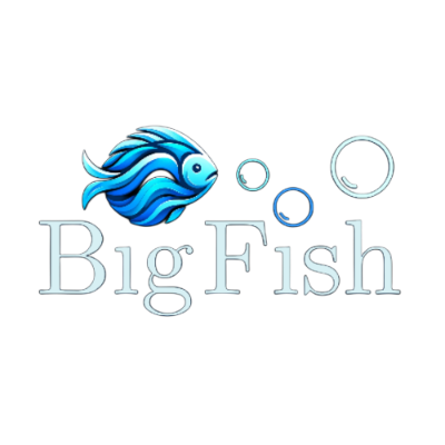 BIG FISH INTERNATIONAL